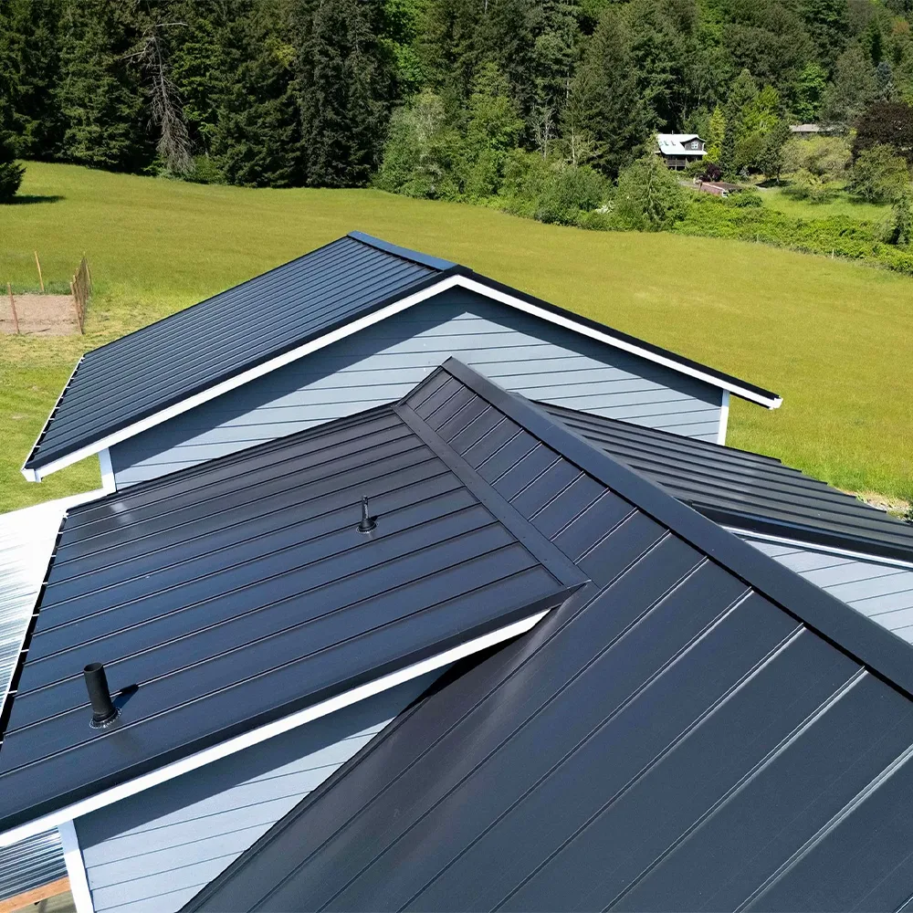 Dark metal roof with white fascia on a rural home